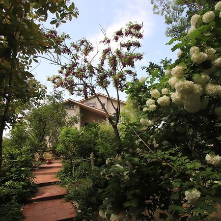 La Casa Nel Bosco Bed & Breakfast Savio di Ravenna Ngoại thất bức ảnh