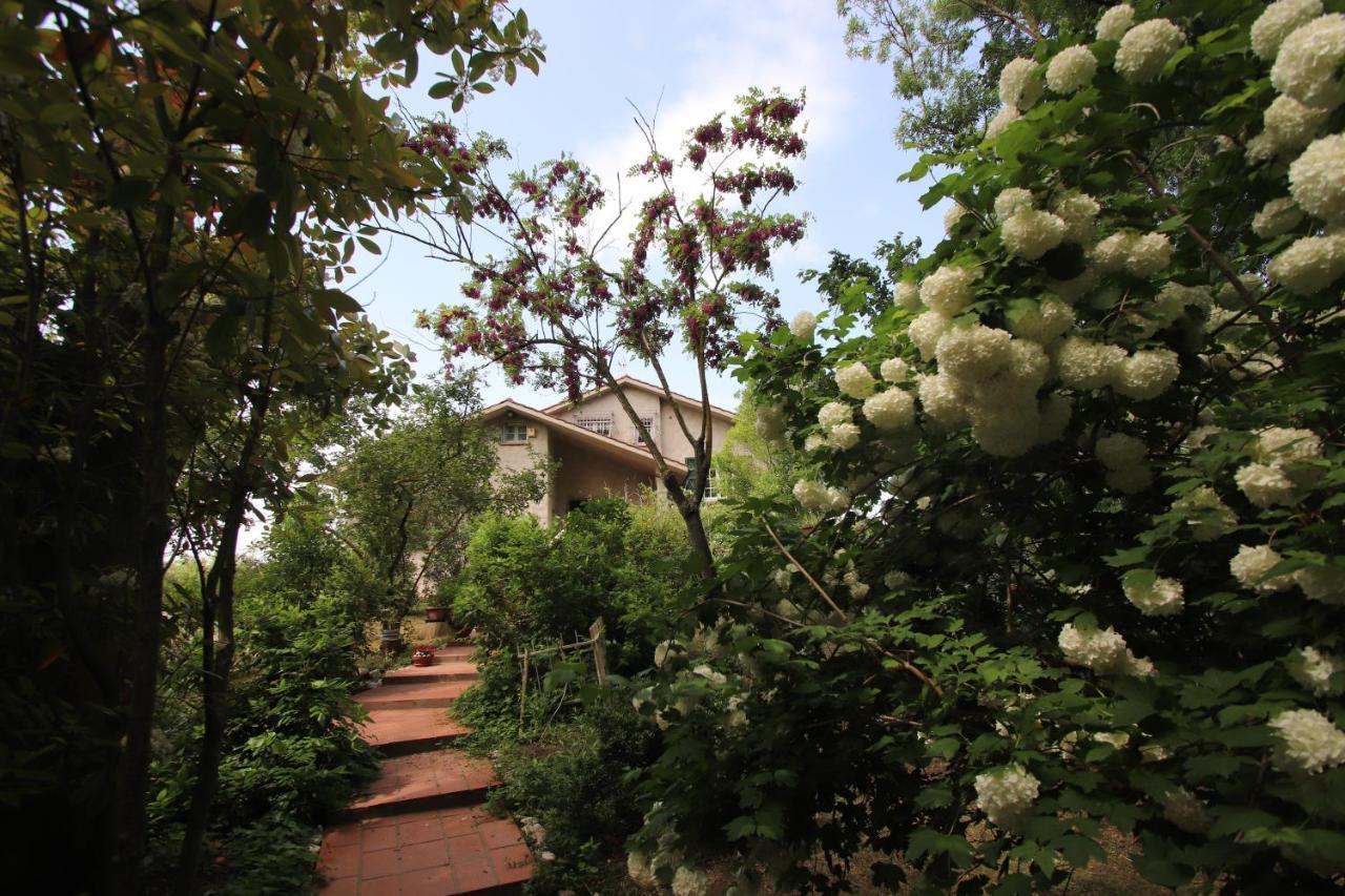La Casa Nel Bosco Bed & Breakfast Savio di Ravenna Ngoại thất bức ảnh